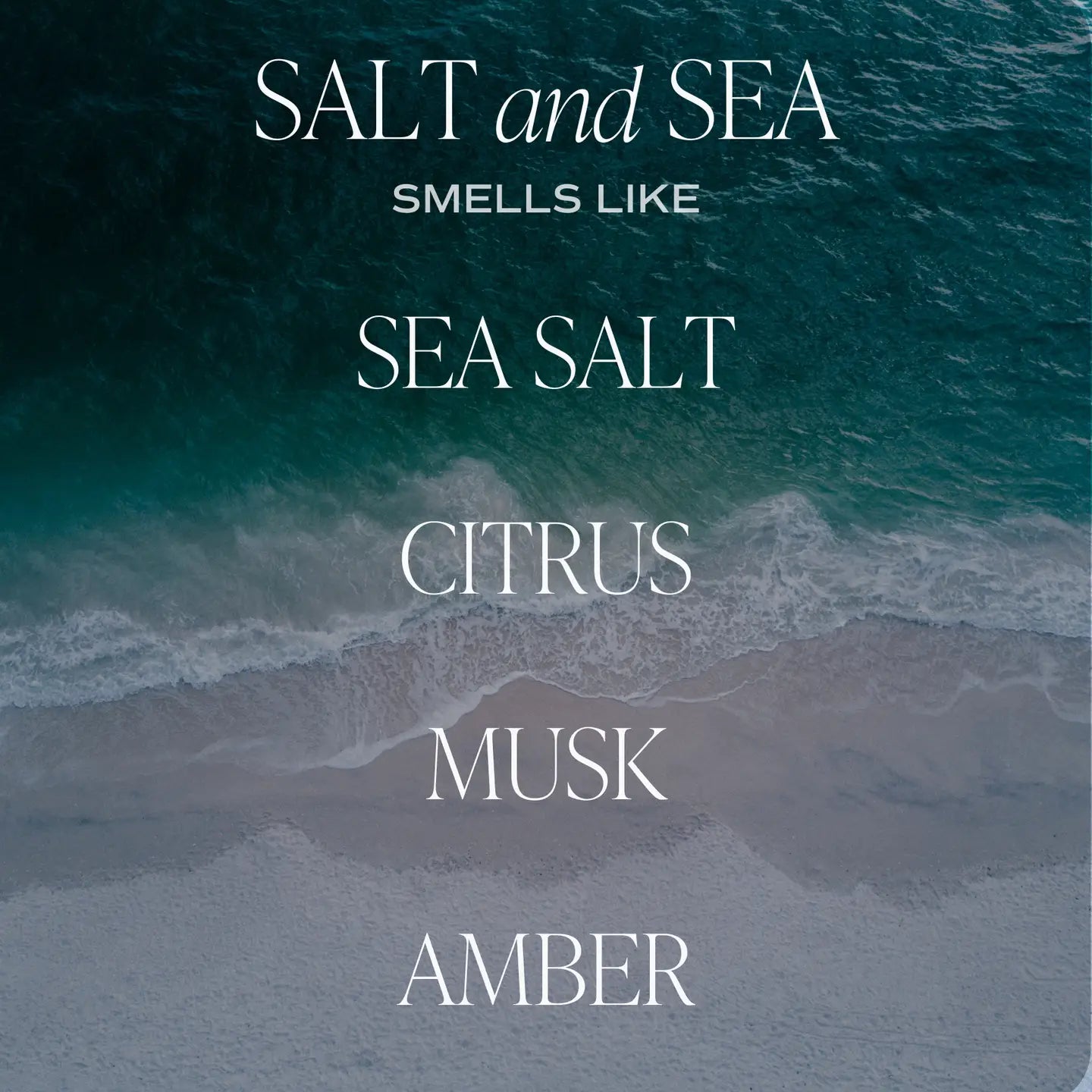 Salt & Sea - Reed Diffuser