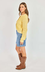 Load image into Gallery viewer, Evelyn Denim Shorts
